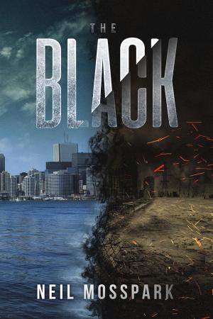 Cover of the book The Black by Gerben Graddesz Hellinga