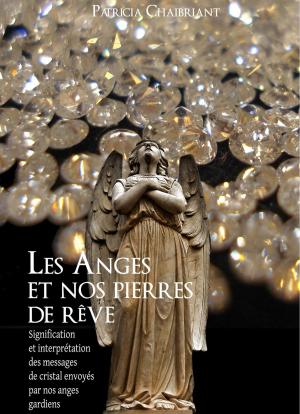 Cover of the book Les anges et nos pierres de rêve by Roger Golden Brown