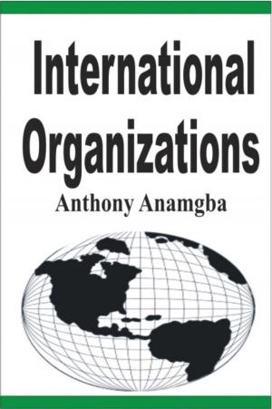 Cover of the book International Organizations by John Hogue