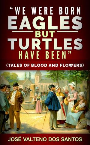 Cover of the book "We Were Born Aegles, But Turtles Have Been" by Bun Sakashita