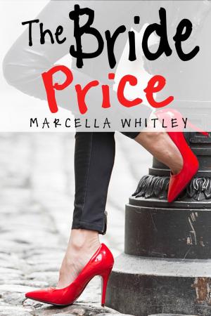 Cover of the book The Bride Price by Melissa Hendricks