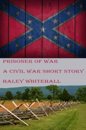 Book cover of Prisoner of War: A Civil War Short Story