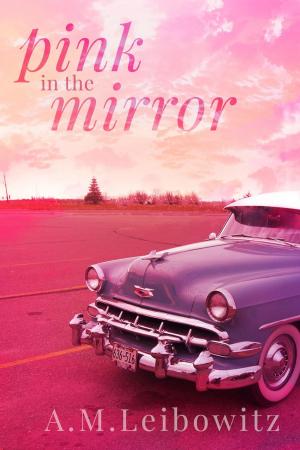 Book cover of Pink in the Mirror
