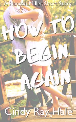 Cover of the book How to Begin Again: A Hannah Miller Short Story by N.L. Louie