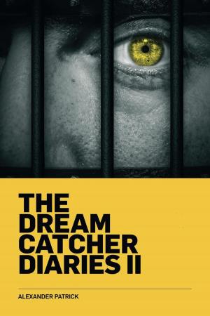bigCover of the book The Dream Catcher Diaries II by 