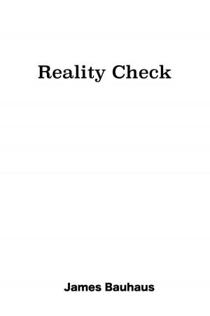 bigCover of the book Reality Check by 
