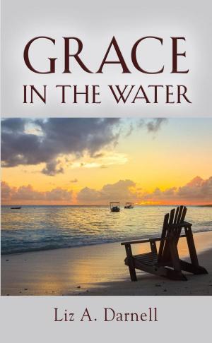 Cover of the book Grace in the Water by Santoshan (Stephen Wollaston)