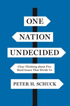 Cover of the book One Nation Undecided by John D. Donahue, Richard J. Zeckhauser