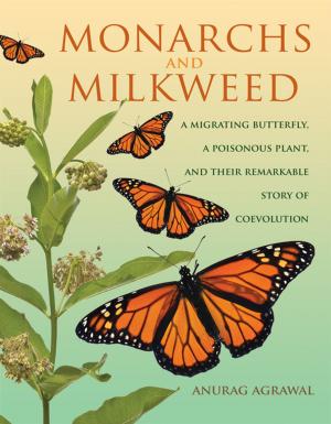 Cover of the book Monarchs and Milkweed by Robert Wuthnow