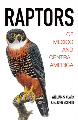 bigCover of the book Raptors of Mexico and Central America by 