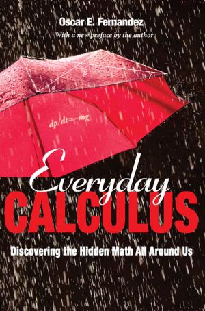 bigCover of the book Everyday Calculus by 