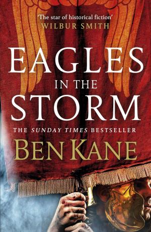 Cover of the book Eagles in the Storm by Gerbrand Bakker