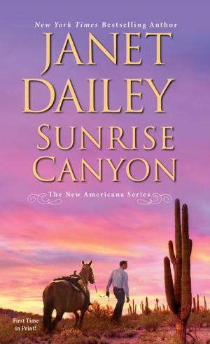 Book cover of Sunrise Canyon