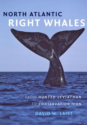 Cover of the book North Atlantic Right Whales by Jacques Derrida