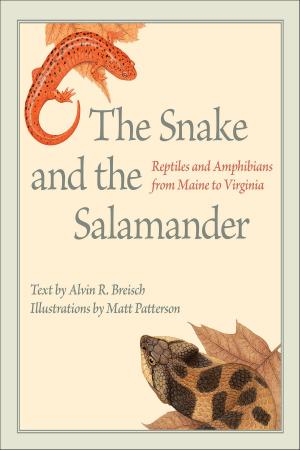 Cover of the book The Snake and the Salamander by Anthony Reed