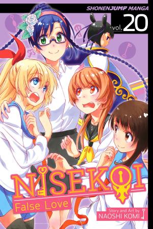 Book cover of Nisekoi: False Love, Vol. 20