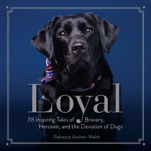 Cover of the book Loyal by Miriam Busch Goin