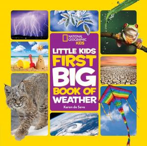 Cover of the book National Geographic Little Kids First Big Book of Weather by Michael Roizen, Michael Crupain, Jim Perko