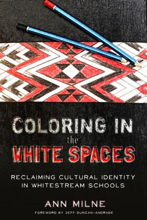 Cover of the book Coloring in the White Spaces by Netaya Lotze
