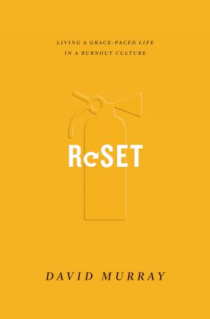 Cover of the book Reset by Tom Nelson