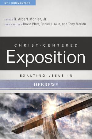 Book cover of Exalting Jesus in Hebrews