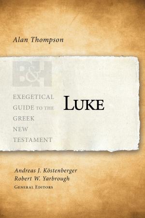 Cover of the book Luke by Aaron E. Lavender