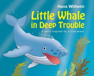 Cover of Little Whale In Deep Trouble