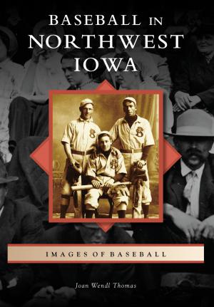 Cover of the book Baseball in Northwest Iowa by Peggy Ford Waldo, Greeley History Museum