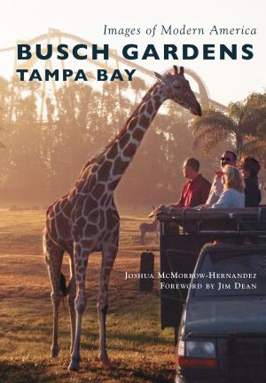Book cover of Busch Gardens Tampa Bay
