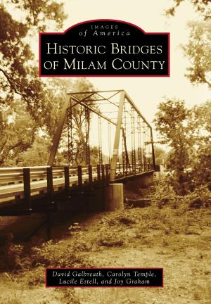 Cover of the book Historic Bridges of Milam County by Tim Hollis