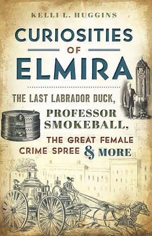 Cover of the book Curiosities of Elmira by Bruce Megowan, Maureen Megowan