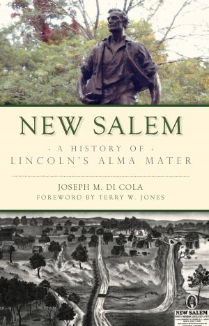 Cover of the book New Salem by Tevi Taliaferro