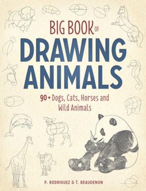 Book cover of Big Book of Drawing Animals