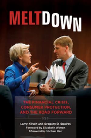 Cover of the book Meltdown: The Financial Crisis, Consumer Protection, and the Road Forward by 