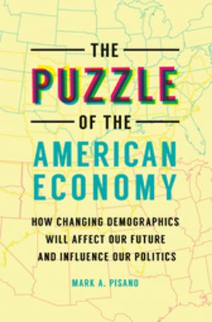 Cover of the book The Puzzle of the American Economy: How Changing Demographics Will Affect Our Future and Influence Our Politics by Gudni Thorlacius Johannesson