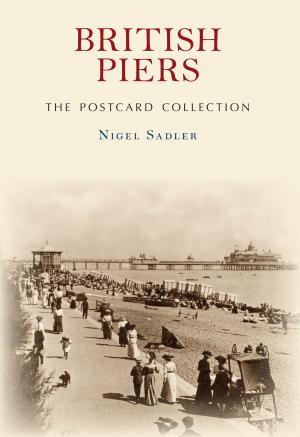 Book cover of British Piers The Postcard Collection