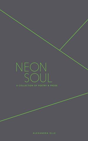 Cover of the book Neon Soul by Larissa J. Schultz