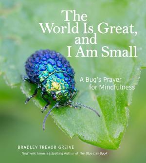 Book cover of The World Is Great, and I Am Small