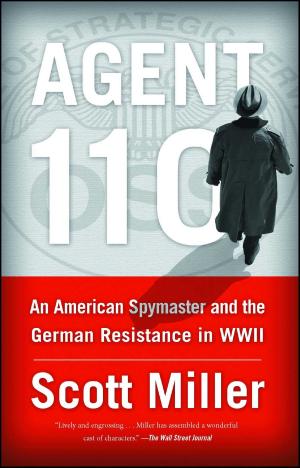 Book cover of Agent 110