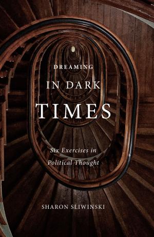 Cover of the book Dreaming in Dark Times by Danielle Shapiro