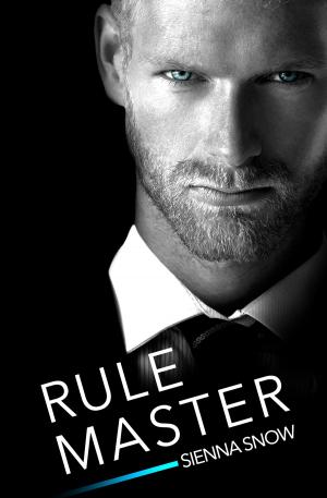 Cover of the book Rule Master by Nina Laurin