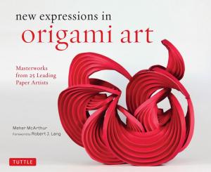 Cover of the book New Expressions in Origami Art by Elisabeth Waldmeier