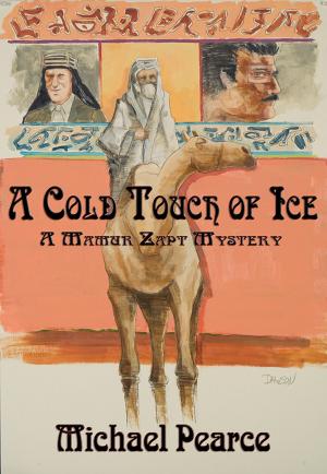 Cover of the book A Cold Touch of Ice by Elissa Harris