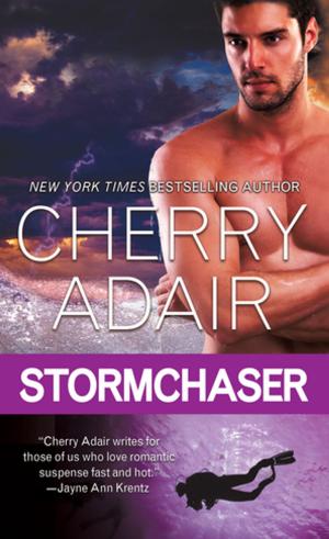 Cover of the book Stormchaser by Tracy Brown