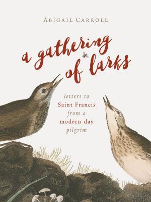 Cover of the book A Gathering of Larks by Ira C. Lupu, Robert W. Tuttle
