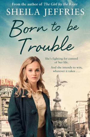 Cover of the book Born to be Trouble by Milly Johnson