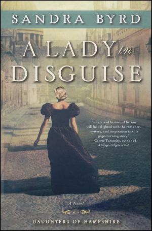 Book cover of A Lady in Disguise