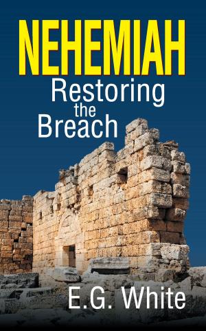 Book cover of Nehemiah: Restoring the Breach