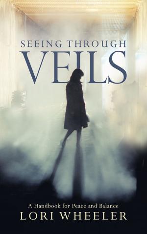 Cover of the book Seeing Through Veils by PJ Karr Ph.D.