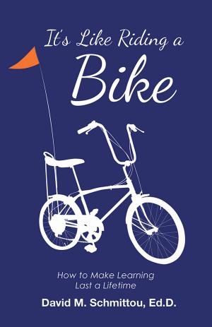 Cover of the book It’S Like Riding a Bike by Hamid Rafizadeh